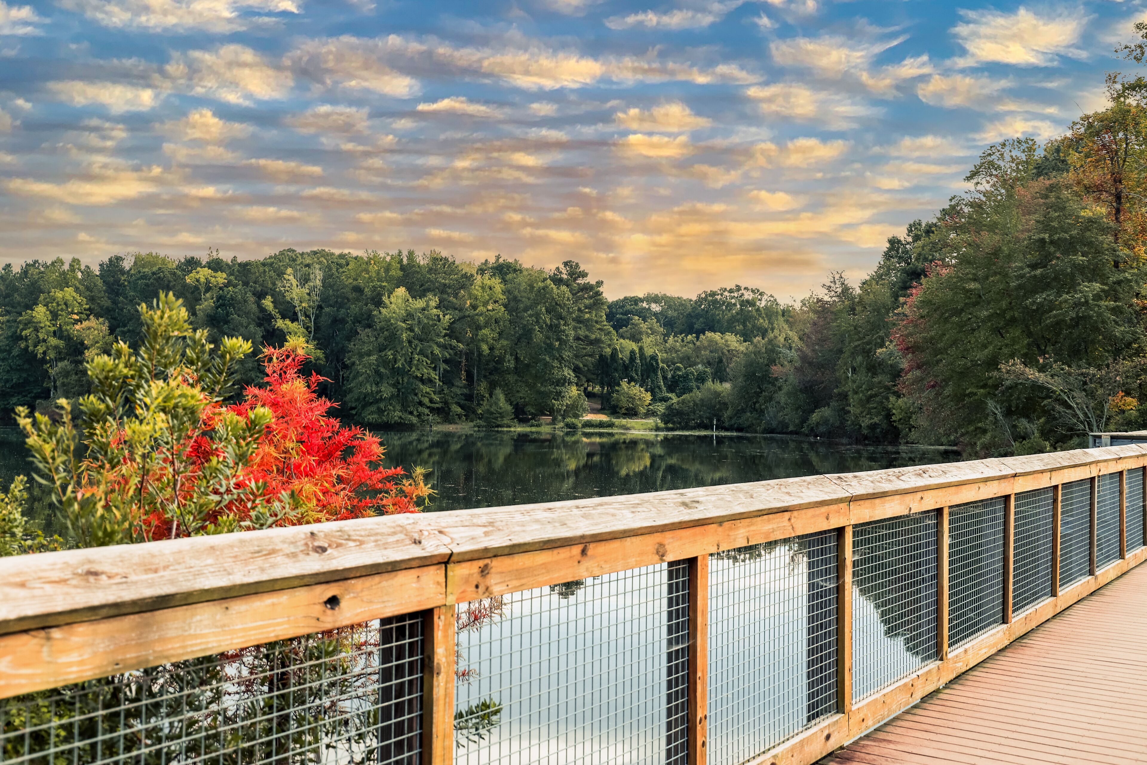 Road Trips from Lawrenceville to Atlanta Attractions: Sports, Museums, and Entertainment Made Simple – Platinum Motors, Lawrenceville, Georgia