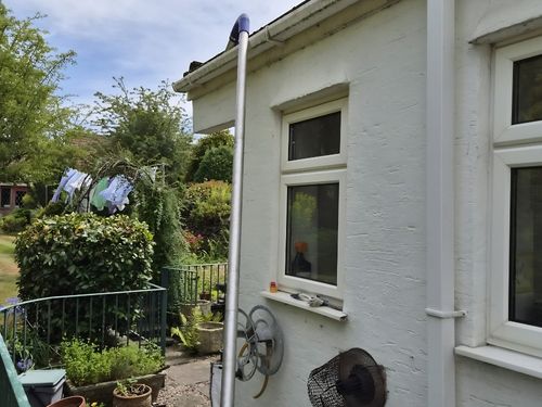 Bird Removal Bristol