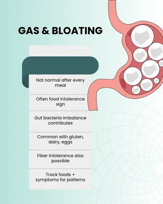 Understanding Gas and Bloating: Key Insights