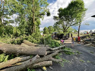 Storm Debris Removal in Bear DE: How Fast We Respond