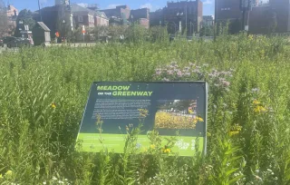 What’s the difference between building a park and building a place people actually love?