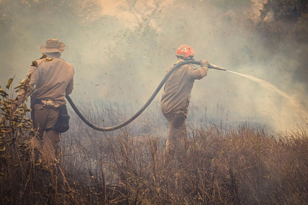 Wildfire Season Is Starting Earlier. Is Your Home Prepared?