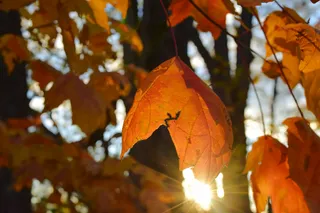 Be Where Your Feet Are: An Open-Handed October