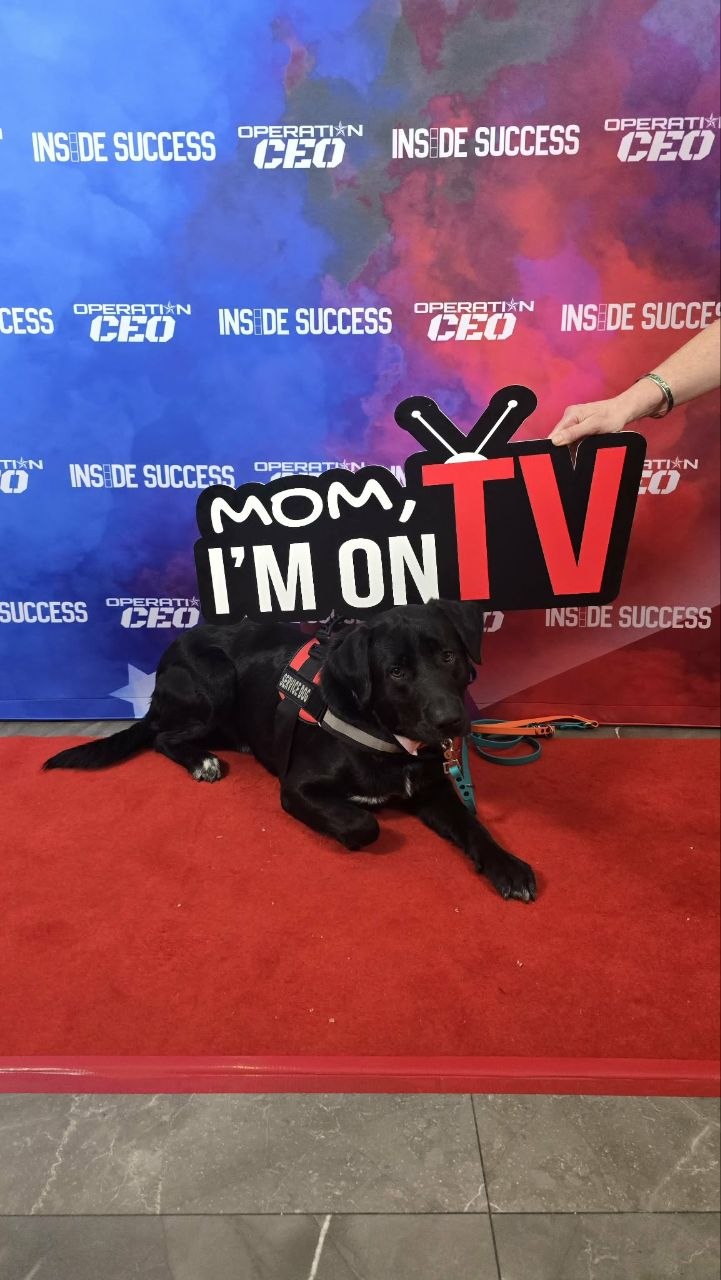 How a PTSD Dog Can Help You