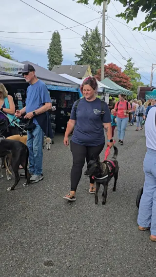 Guest Blog - A Landlord's Guide to Cultivating a Welcoming Environment for Service Dog Teams