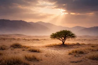 The Desert Place