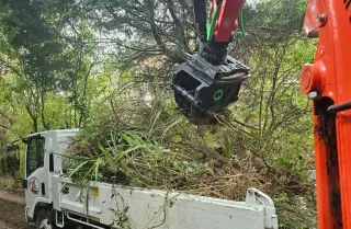 Section Clearing and Yard Maintenance