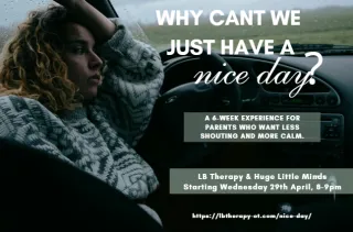 Why Can't We Just Have a Nice Day?