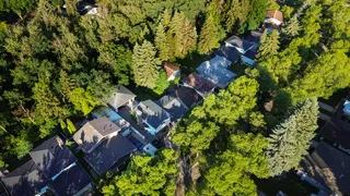 Do Trees and Shade Mean Solar Is Out of the Question?