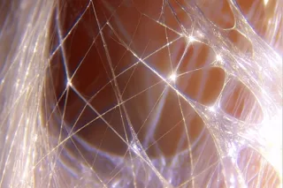 Работа с фасцията има системен ефект.