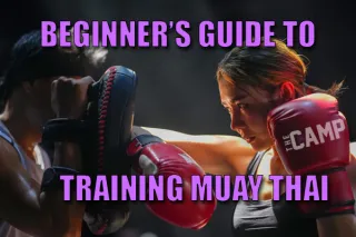 Beginner's Guide to Muay Thai Training