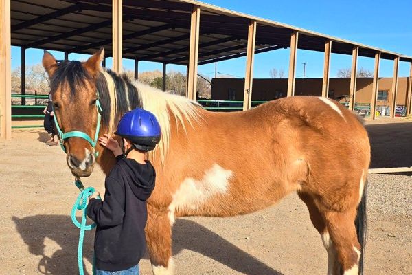 Finding Balance: Holistic Equine Learning in the Heart of New Mexico