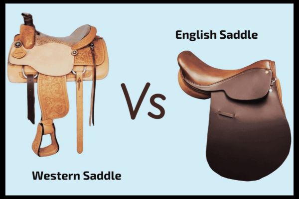 English vs. Western: Which Saddle Starts Your Child’s Journey?