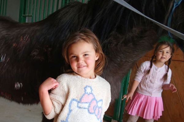 Safety First, Saddle Second: Why Ground Manners are the Foundation for Every Young Rider