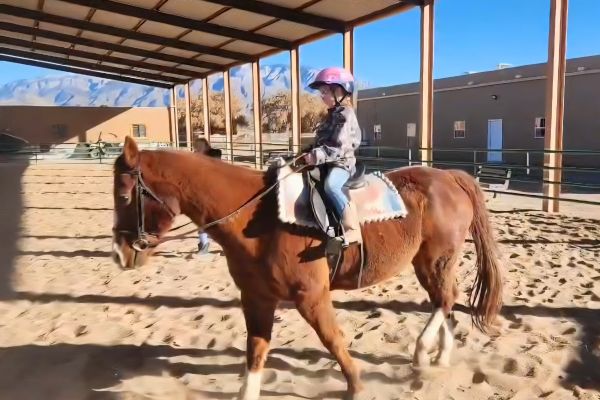 From Beginner to Skilled Rider: A One-Year Comprehensive Training Plan