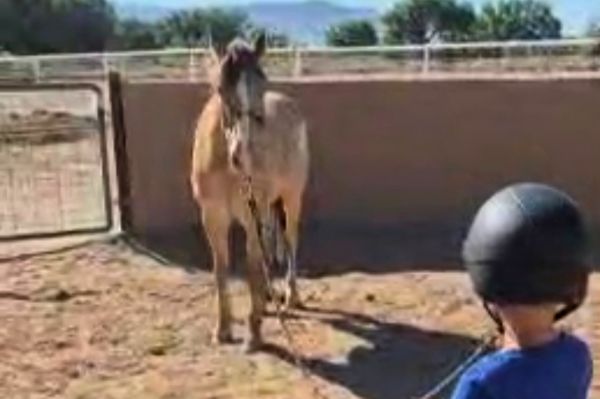 Why Less Time in the Saddle Makes Better Riders