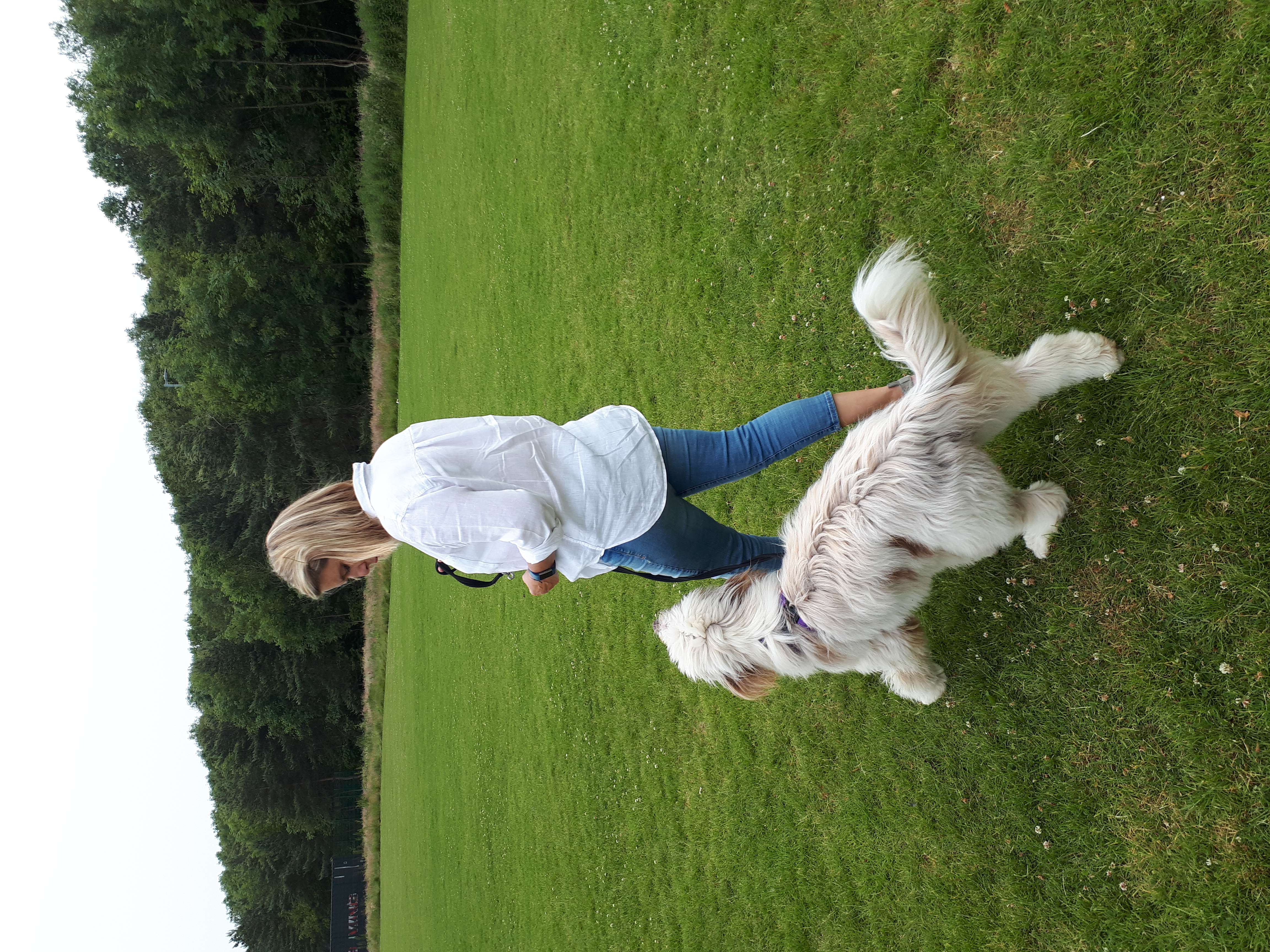 How to Stop Your Dog Pulling on the Lead (Without Force or Frustration)