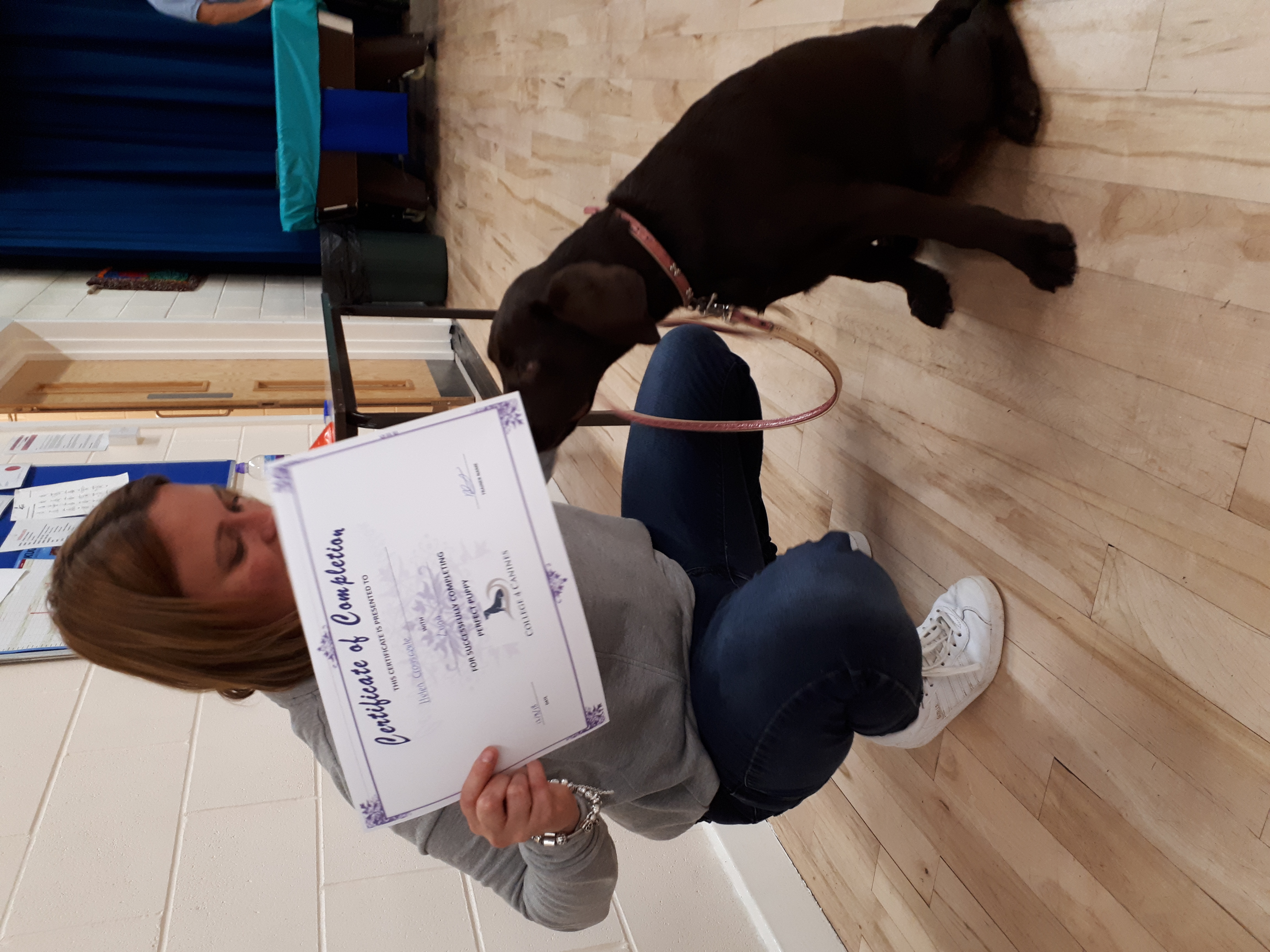 Force-Free Puppy Training Classes in Northumberland: What to Expect