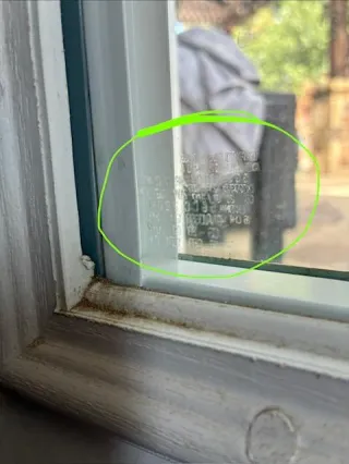 What Safety Features Should Windows in Your Home Have?