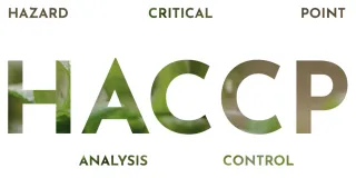 HACCP en restauration : êtes-vous vraiment en règle en 2026 ?