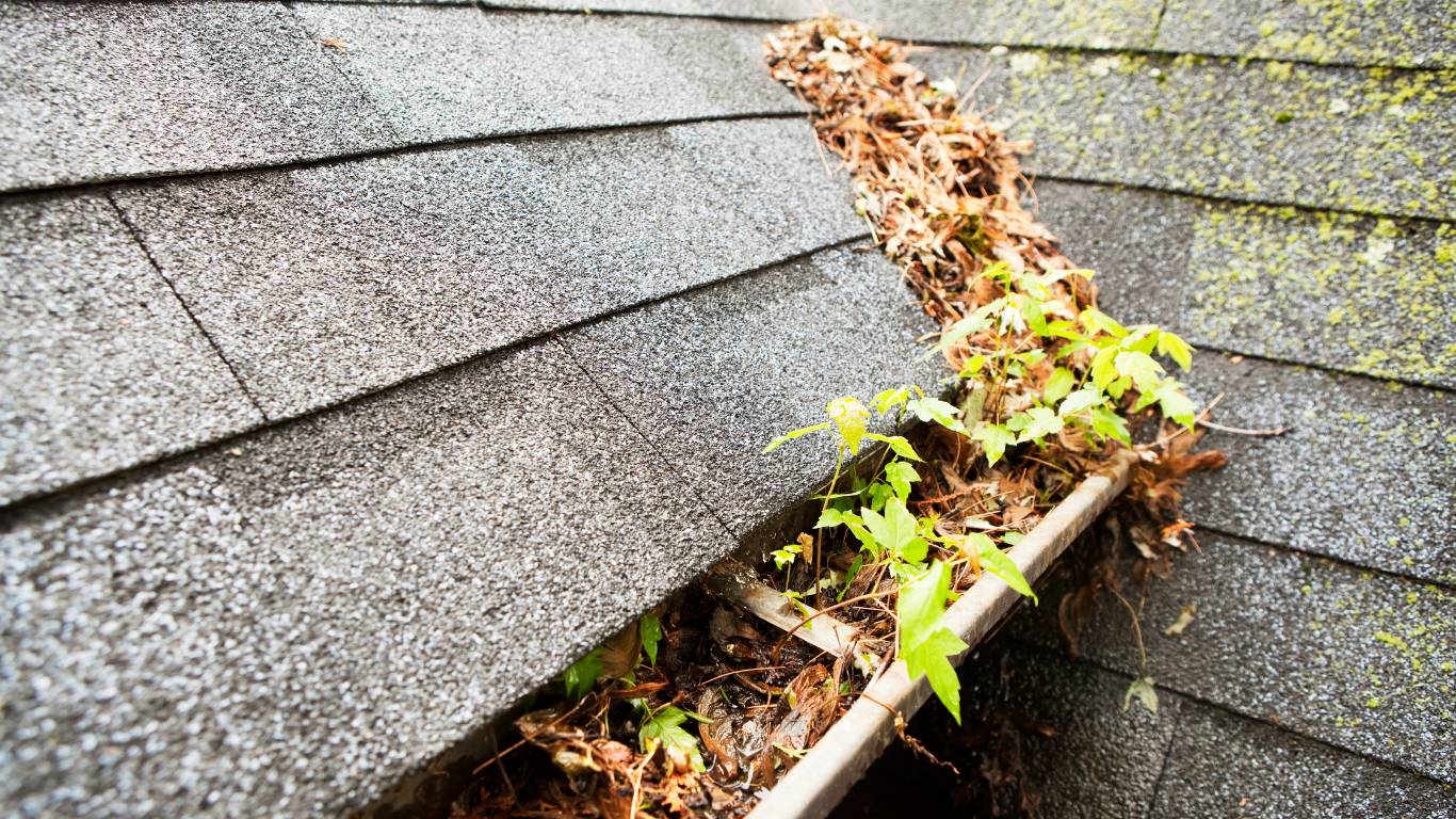 Travel Season Gutter Damage Oahu | FBC Hawaii