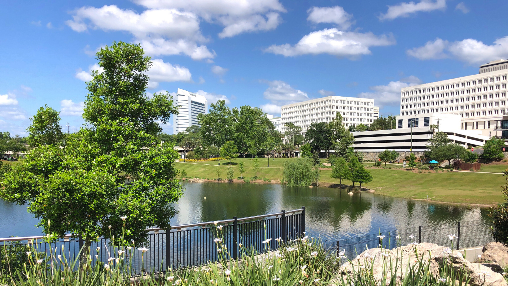 Relocation Rentals: How to Explore Tallahassee’s Neighborhoods Before You Buy a Car — Purpose Avenue Rental Cars, Tallahassee FL