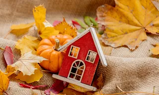 Fall Construction in North Georgia: Why Dumpster Rentals Matter