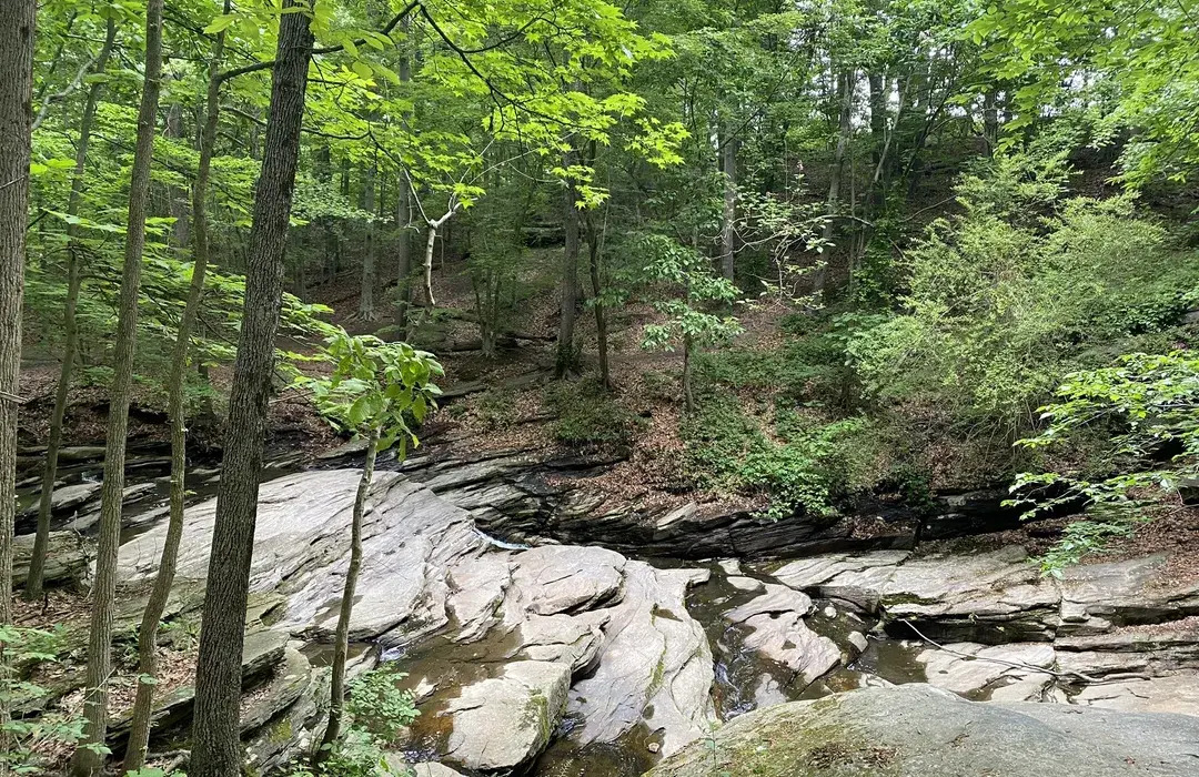 🌳 Exploring Double Rock Park and Nearby Hidden Gems with a Rental Car in Parkville, MD | DriveNow1970, Parkville, MD