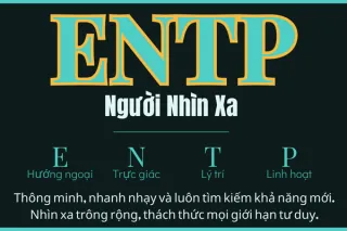 14 ENTP - Người nhìn xa