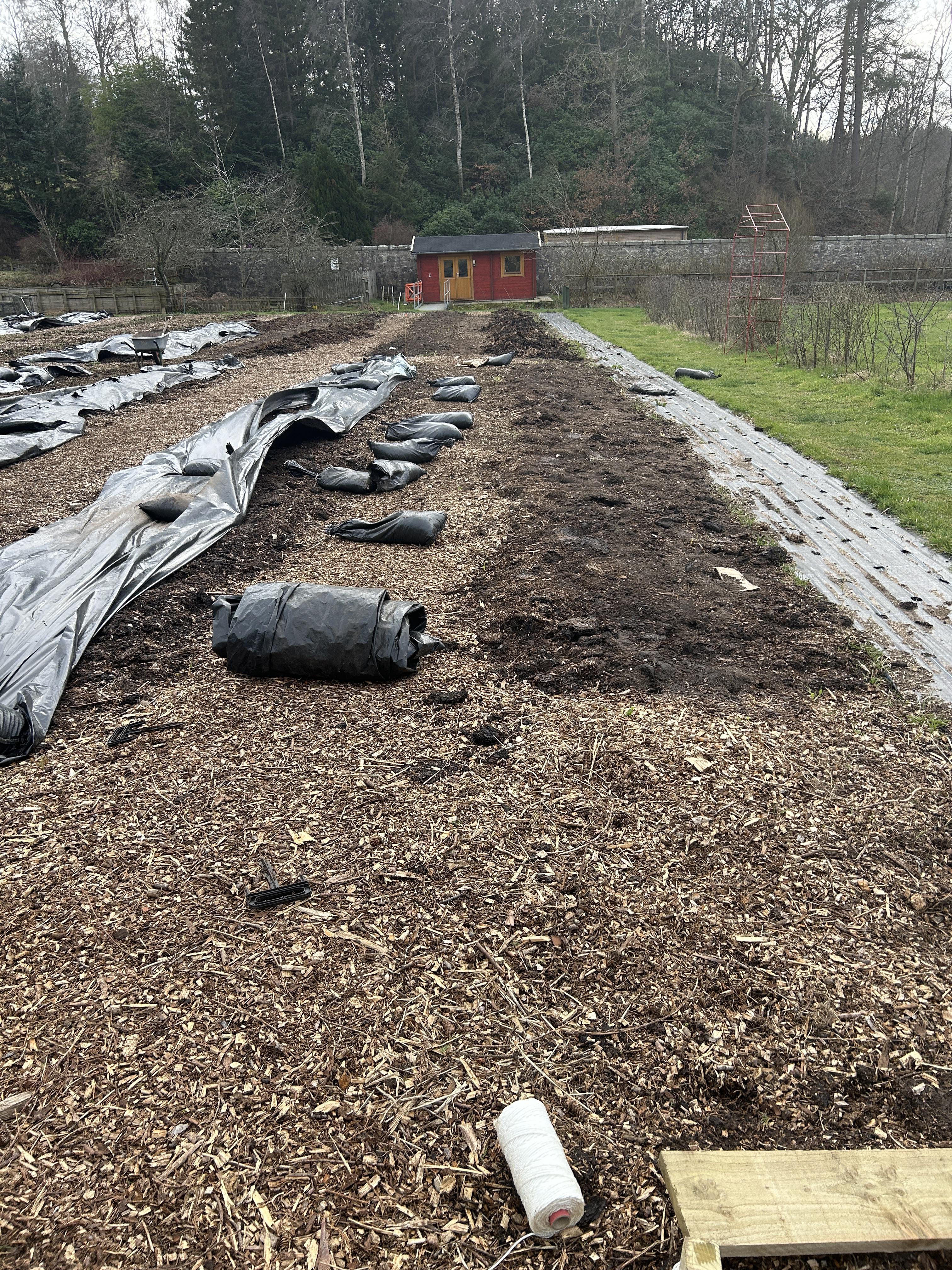 Back to Camphill School Garden