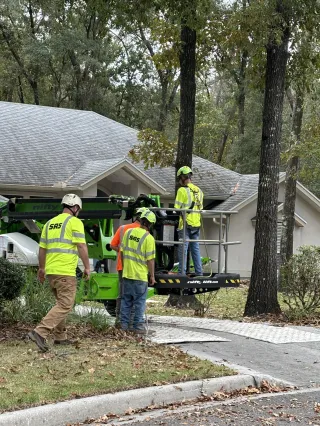 SAS Tree Service: Your Go-to for Tree Care Needs