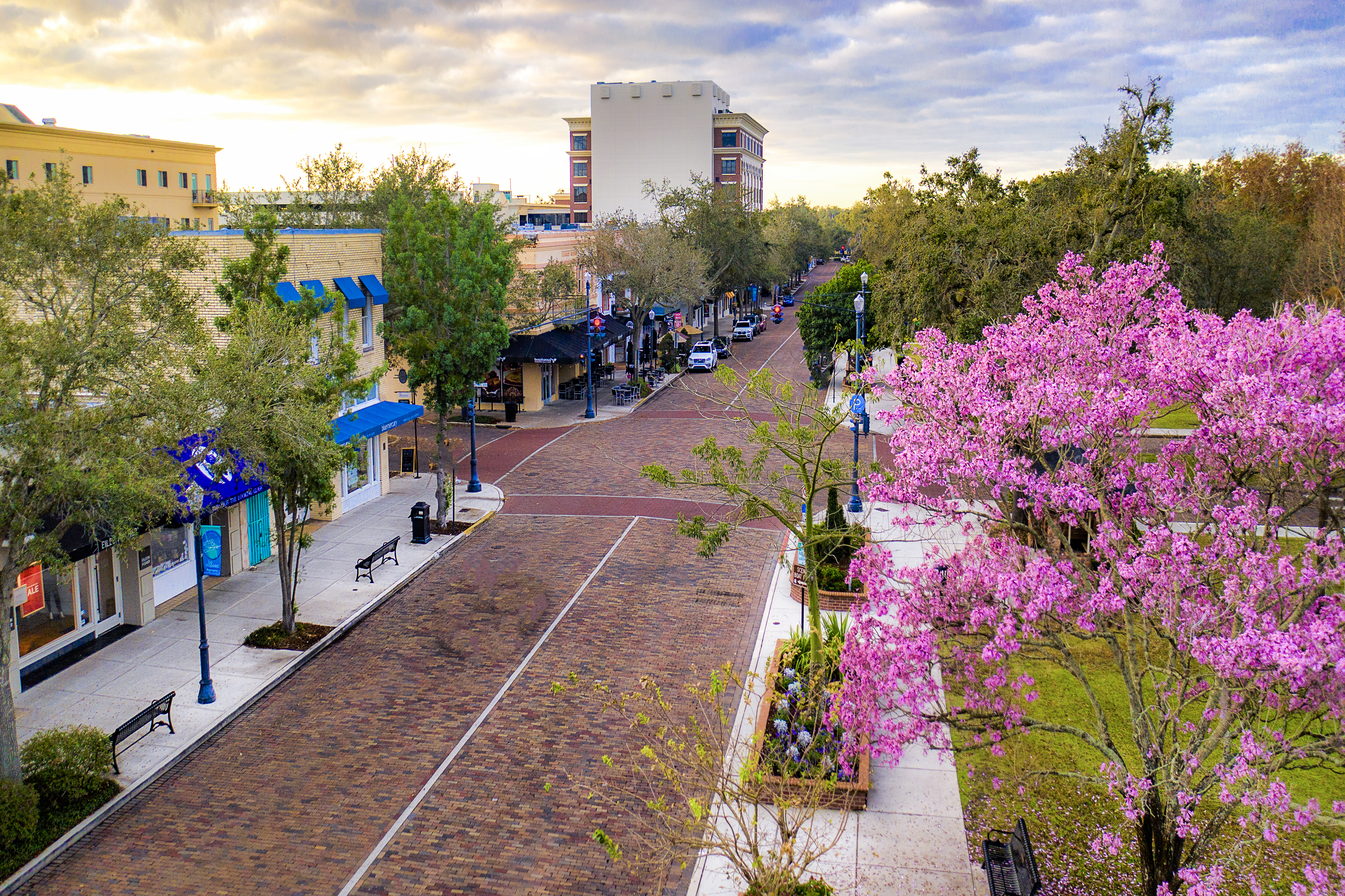 🚗 Best Orlando Neighborhoods to Explore by Rental Car: Winter Park, Baldwin Park & Dr. Phillips | Prime Rides Orlando, Orlando, FL 🌴