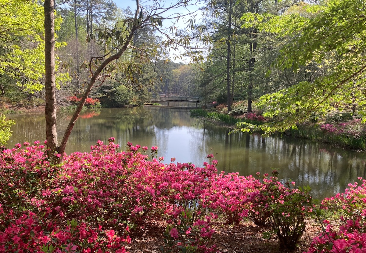 Visiting Georgia Tech or Emory University? Here’s Why You Should Rent a Car in Atlanta — LA 5 Star Rentals, Atlanta, GA 🚗🎓