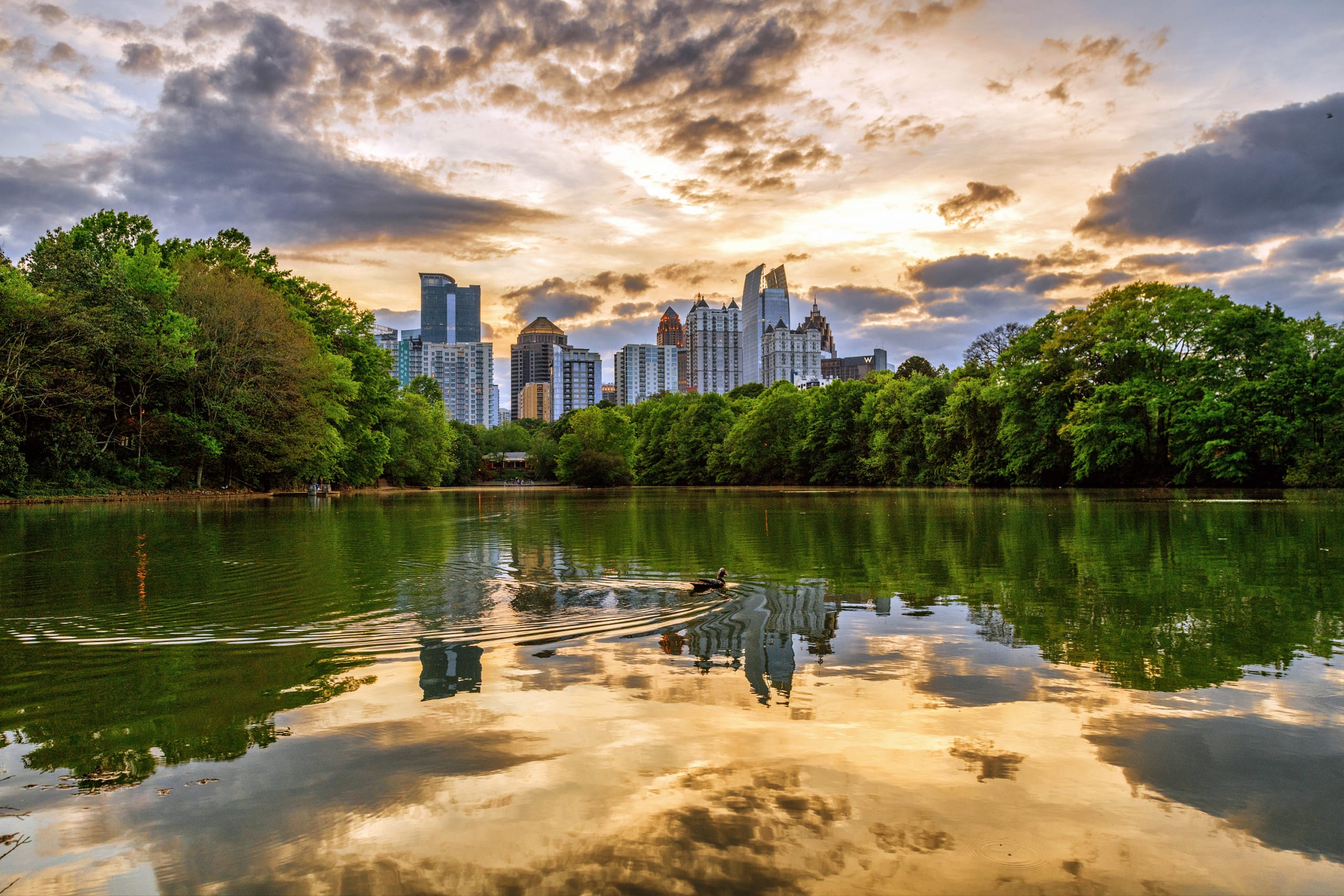 Explore Piedmont Park and Midtown Atlanta with a Convenient Rental Car | LA 5 Star Rentals, Atlanta, GA 🚗🌆