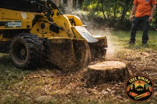 Why Professional Stump Grinding is the Best Choice for tree Stump Removal