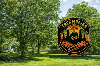 Licensed Arborist Near Me: How to Choose the Right Tree Expert