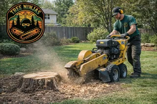 Top Tree Stump Service Near Me for Complete Yard Cleanup