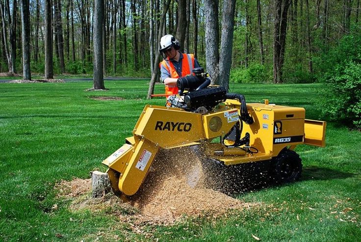 Stump Grinding vs. Stump Removal: Cost, Process, and Which to Choose