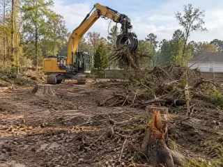 What Do Land Clearing Services in Redmond, WA Involve?