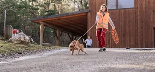 How To Choose The Best Long Line For Mantrailing
