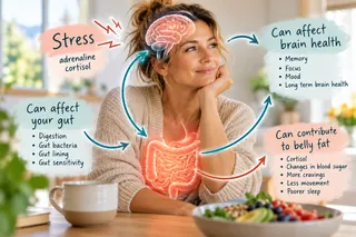 Is Your Stress Affecting Your Gut, Your Weight and Your Brain?