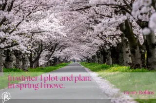 Take Intentional Action 4.13.26