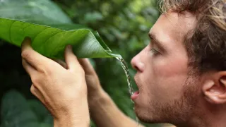 73% of Men Believe They Could Survive Alone in Wilderness After Watching 4 Episodes of Alone