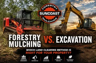 Forestry Mulching vs Excavation: Which Is Right for Your Property?
