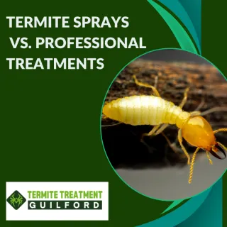 Comparing Termite Sprays vs. Professional Treatments