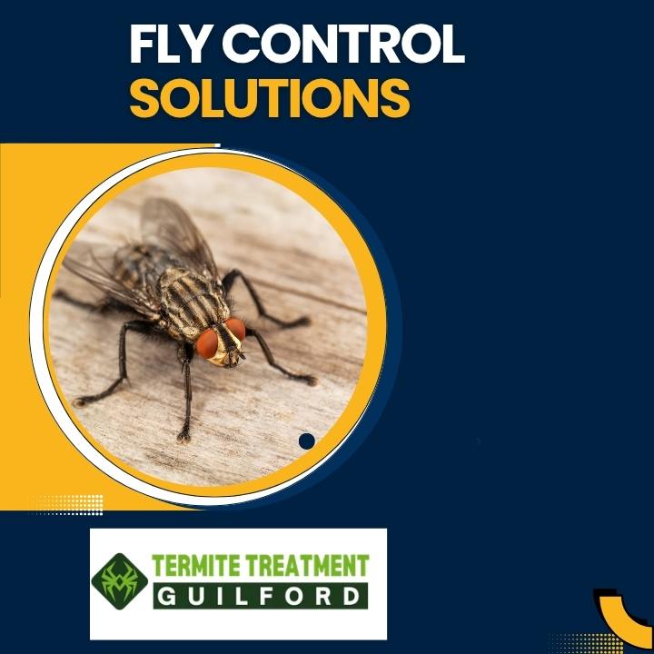 Proven Fly Control Methods to Maintain a Healthy Environment in Perth