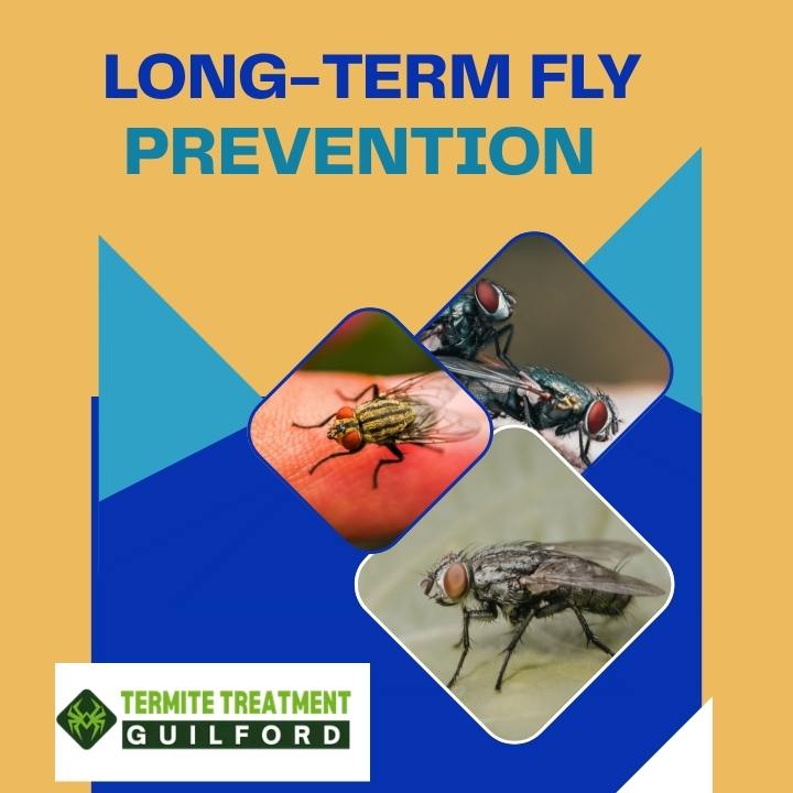 House Fly Control: Best Solutions for Long-Term Fly Prevention