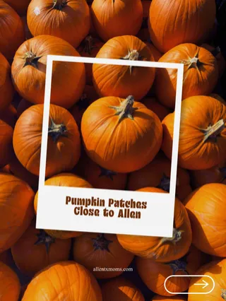 Pumpkin Patches In and Near Allen, TX