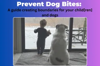 Prevent Dog Bites: A Guide to Kids and K9 Boundaries in Chicago