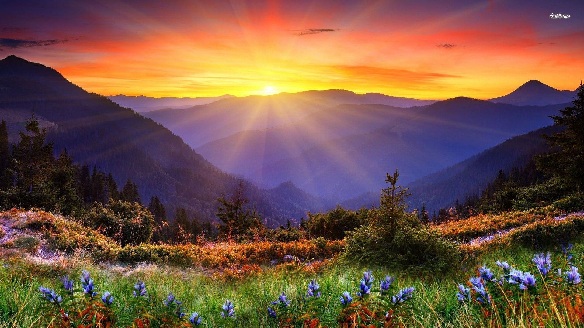Your Past Doesn't Determine Your Future — Your Next Decision Does